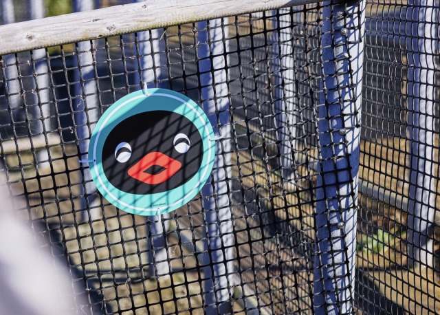 にっこりピングーを探せ！