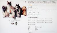【ワールドライド百貨店 オリジナルペットクッション】Amazonで手軽に注文できる