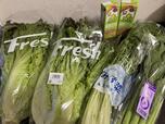 【フルーツデトックス】夜ごはん用の野菜とスムージー用の小松菜・豆乳も購入