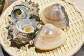サザエとハマグリ