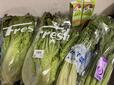 【フルーツデトックス】夜ごはん用の野菜とスムージー用の小松菜・豆乳も購入