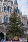 シンデレラ城裏のクリスマスツリー｜東京ディズニーランド「ディズニー・クリスマス」2018年