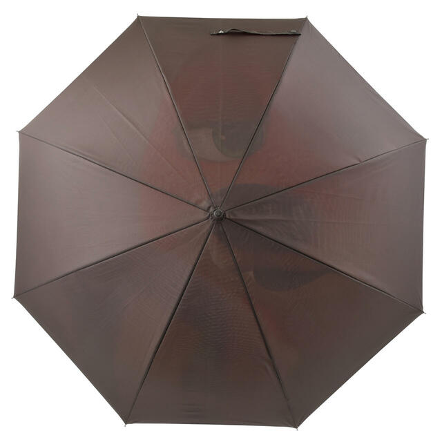 長傘 ジャンプ式 RAINY DAY 3,500円→2,099円