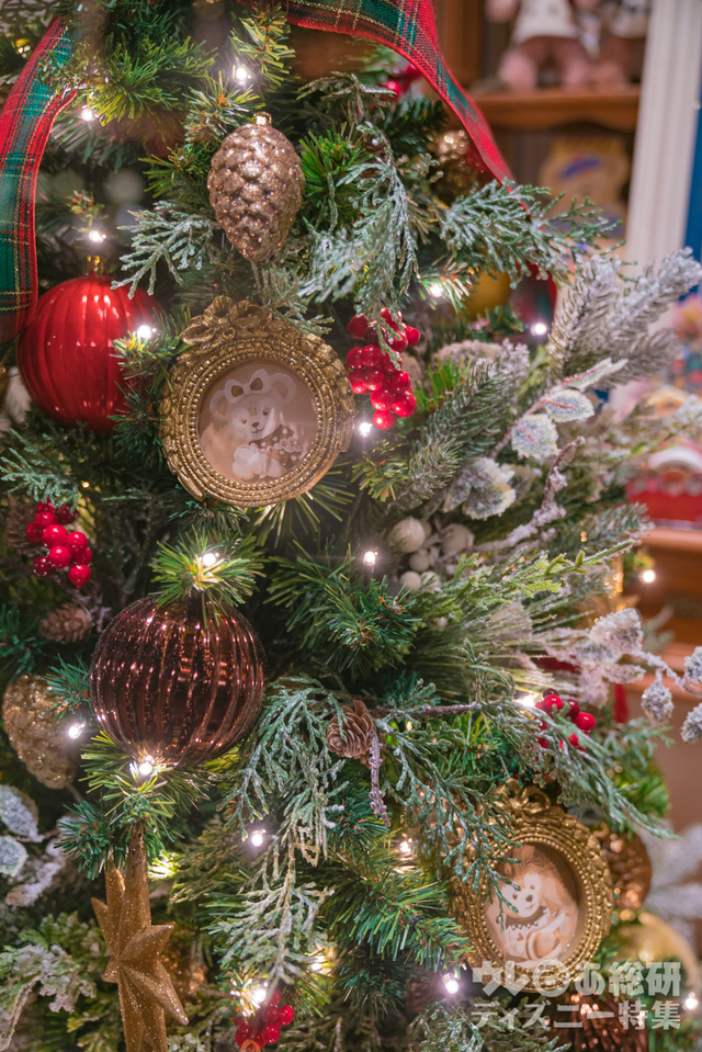 「マクダックス・デパートメントストア」のウィンドウ