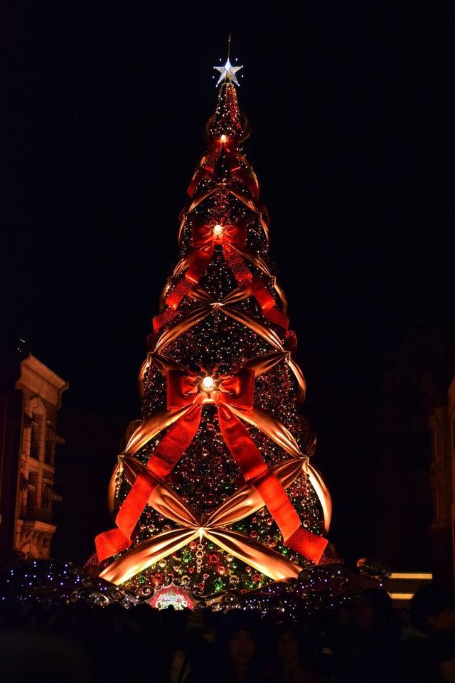 一生に一度は見たいクリスマスツリー｜ユニバーサル・ワンダー・クリスマス｜ユニバーサル・スタジオ・ジャパン