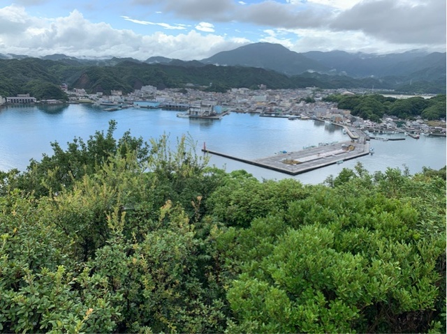 展望台から勝浦湾を一望