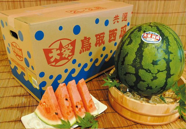 【倉吉・三朝エリア】道の駅大栄｜夏になると「道の駅大栄」で大栄西瓜のほか、スイカソフトやジャムなども販売