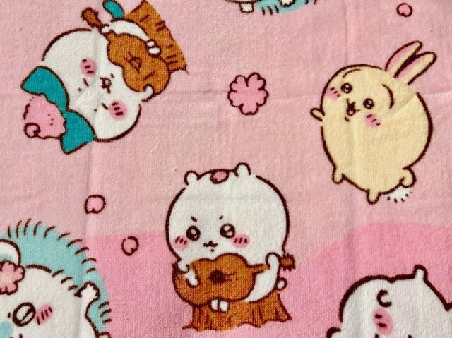 【アベイル】ギターを弾き語るちいかわ・ハチワレがキュート！