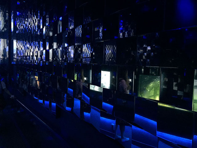 美しい! 「蜷川実花×クラゲ」の超幻想世界