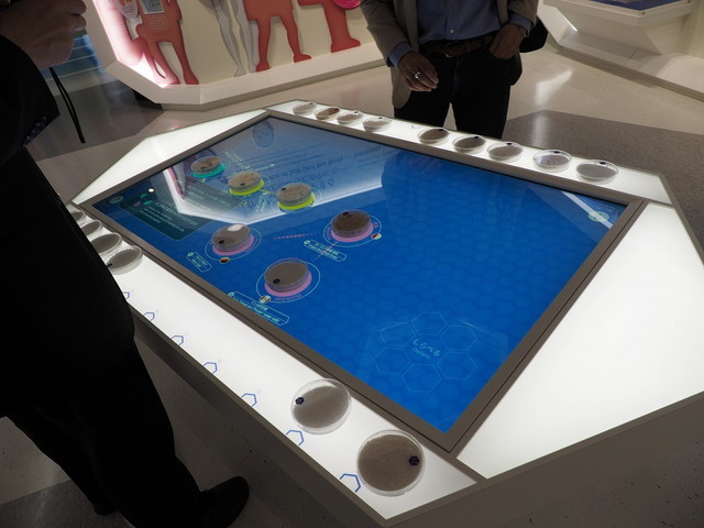 たばこと塩の博物館／「塩の世界」