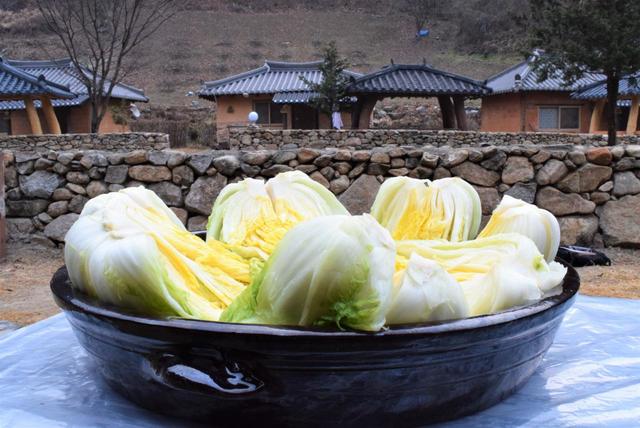塩漬けされた白菜。これを商品化したものがチョリムペチュ