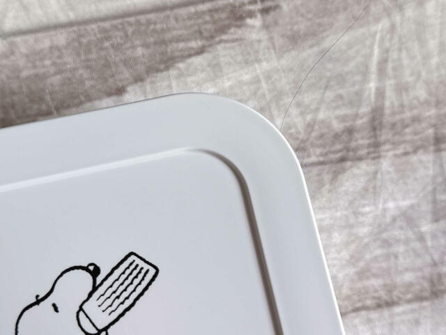 素材はポリプロピレン。一般的なタッパーといった感じ！