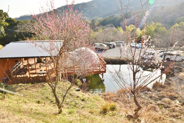 「スタンダードドーム」から管理棟が見える