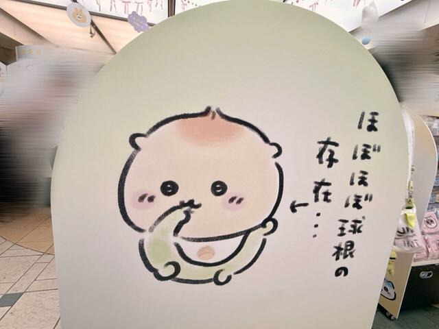 ほぼほぼ球根の存在なベビーくりまんじゅう。いつも以上につぶらな瞳がキュート！