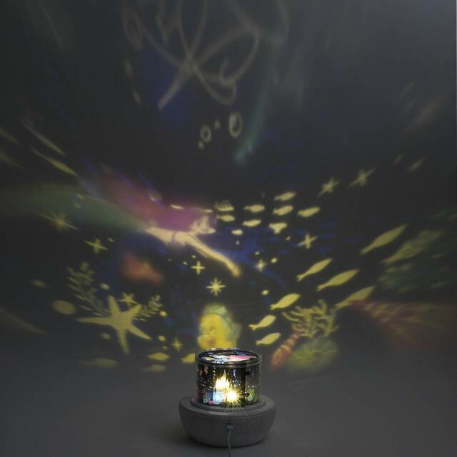 アリエル、フランダー、セバスチャン ルームプロジェクション Feeling Like Ariel 4,950円