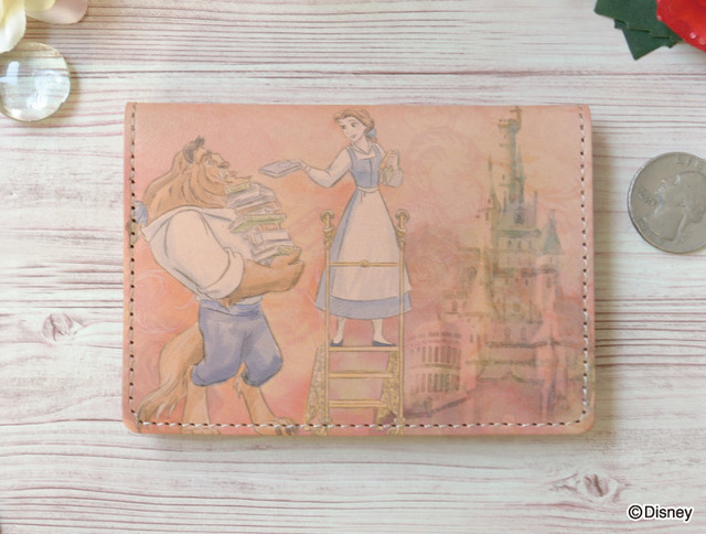 パスケース 5,900円