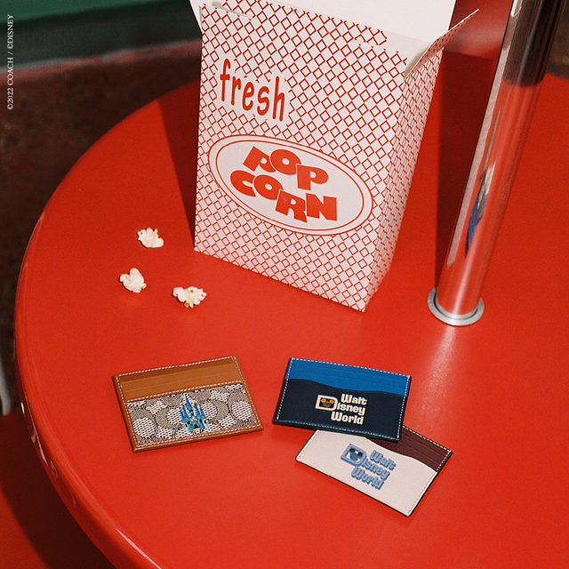 【DISNEY X COACH】