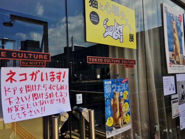 会場の扉には『ネコがいます！ ドアを開けたらすぐ閉めてください！ 開けるときもネコが足元にいないか注意してください！』という注意書きが貼られていました。