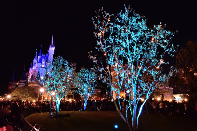 プラザのライトアップ、木々が青く光ります ©Disney