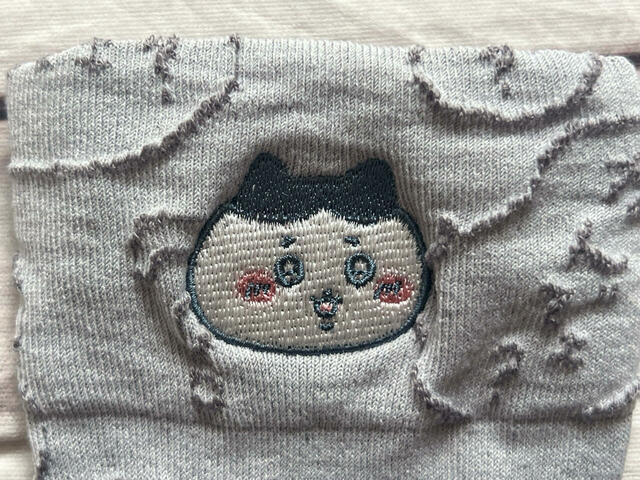 まさに「なんでェ?」と言っているような表情のハチワレ。かわいい!