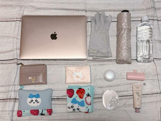 これだけのものが収納可能!