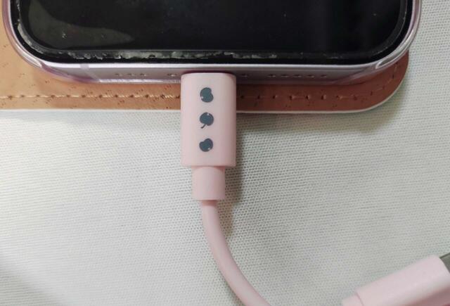 りんごのイラスト付き