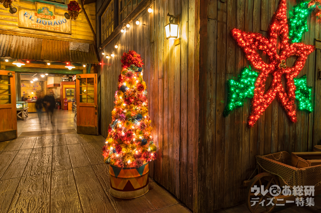 「ミゲルズ・エルドラド・キャンティーナ」。夜は光の祭り「フィエスタ・デ・ラ・ルース」のイルミネーションが見どころ