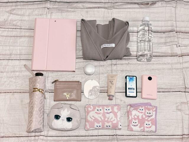 今回は、キーボードケース付きのiPad、折りたたみ傘、550mLペットボトルに加え、ポーチや財布などの必需品を収納してみましたが、それでもさらにコンパクトなカーディガンを入れることができました！