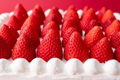 上面にずらりと並んだたっぷりのあまりん！【豊洲パーラーの「あまりん苺のデコレーションケーキ」】