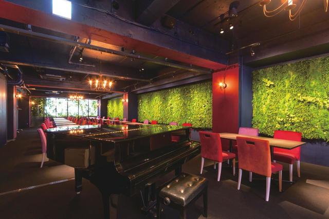 植物の濃密な息吹が感じられるような店内【兵庫・三宮｜GREEN HOUSE Wald】