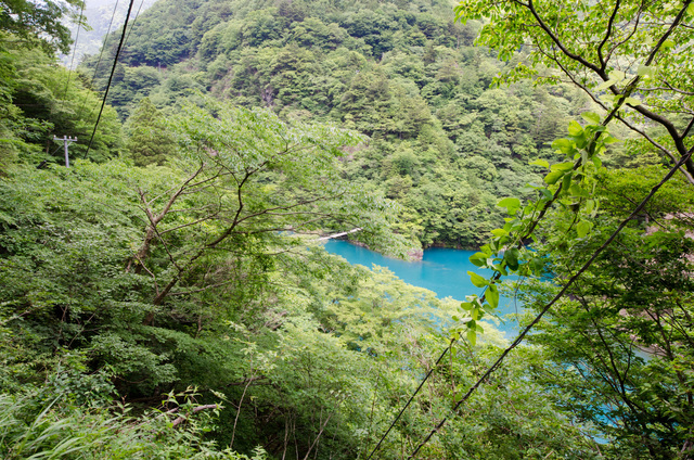 「夢の吊り橋」散策ルート：寸又峡プロムナード