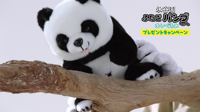 「ふたごパンダちゃんぬいぐるみイメージ」＜実施期間：2023年9月1日(金)～11月30日（木）＞【ふたごパンダちゃんぬいぐるみプレゼントキャンペーン】