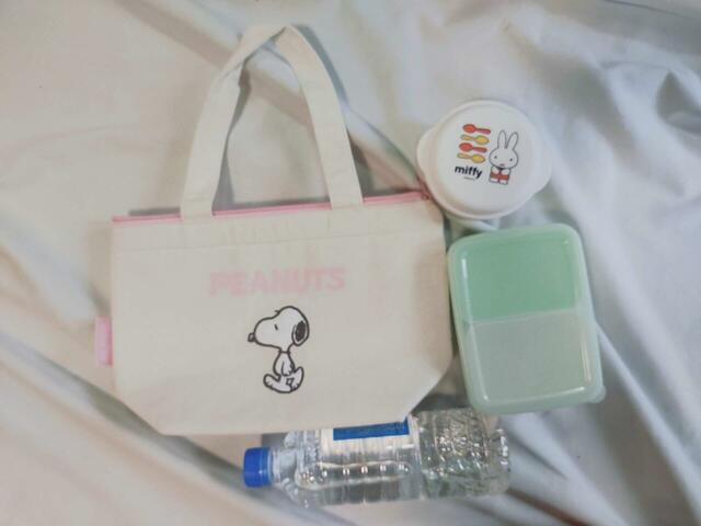 お弁当やペットボトルが入るくらいの大きさ