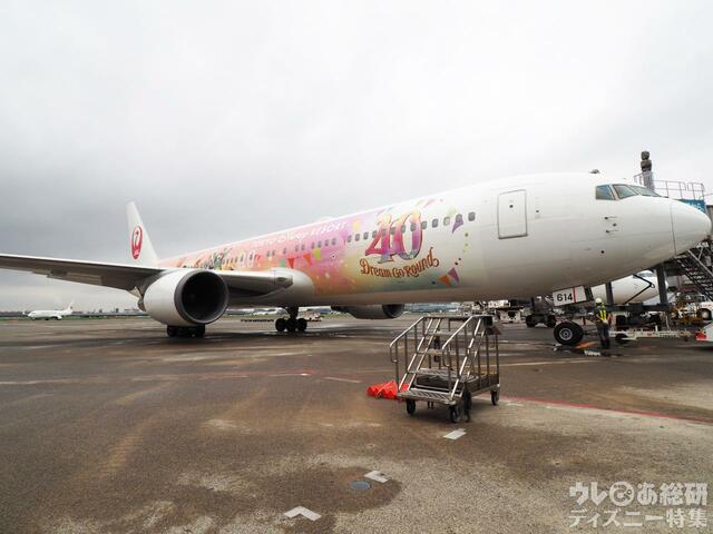 特別塗装機「JAL Colorful Dreams Express」