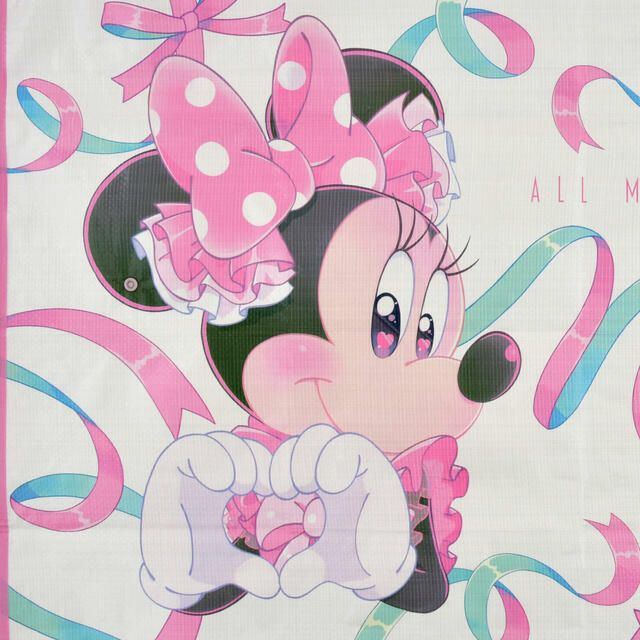 ミニー レジャーシート MINNIE DAY 2026 2,000円
