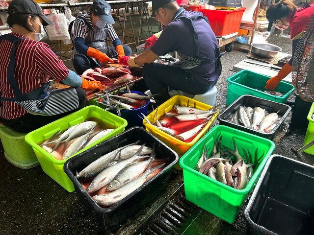 【台湾食べ歩きの旅 #14】市場の営業を前に大量のサバヒー(別名ミルクフィッシュ)を下処理する人々。サバヒーは台南や高雄の温かい場所で養殖される魚