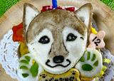 【Dog Lab Bubbie Boo 似顔絵ケーキ】似顔絵部分も食べられます