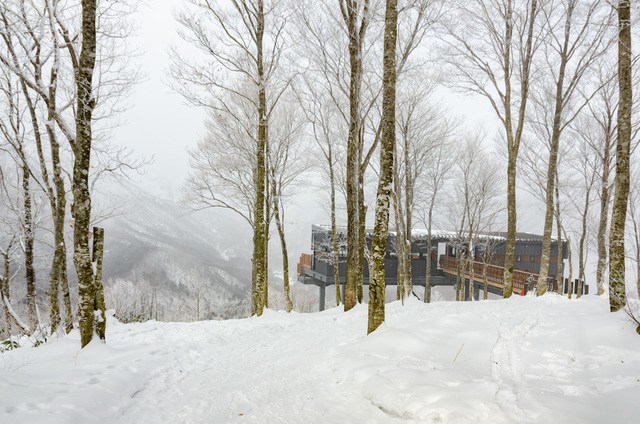 HAKUBA MOUNTAIN HARBOR｜白馬岩岳スノーフィールド