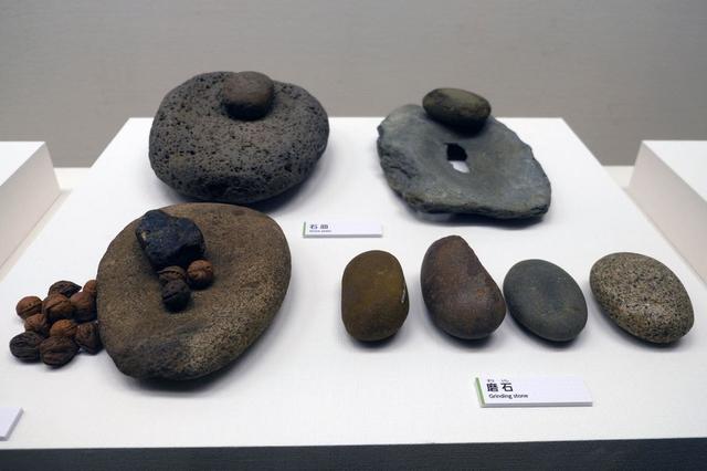 植物の加工に使用された石皿や磨石（すりいし）
