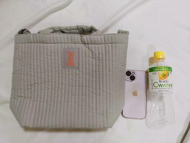 500mlのペットボトルが縦に入るくらいの大きさ『リンネル』11月号付録「DOD（ディーオーディー）ふわふわで軽いキルティングバッグ」