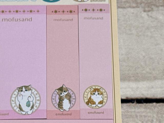 もっちりボディのにゃんこたちがかわいい〜！