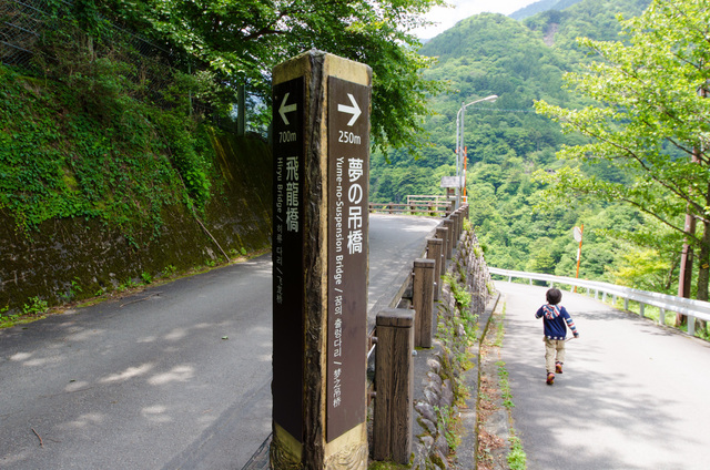 夢の吊り橋へは、分かれ道を右へ｜「夢の吊り橋」散策ルート：寸又峡プロムナード