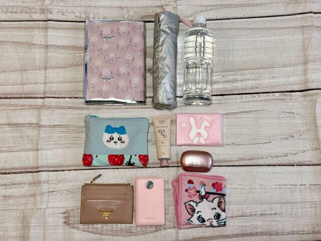 どちらのバッグにもこれだけの荷物が収納可能！