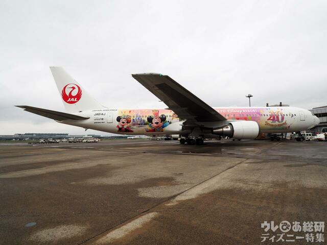 特別塗装機「JAL Colorful Dreams Express」