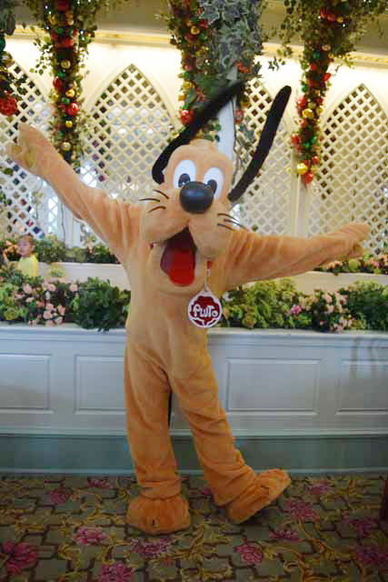 とにかく元気なプルート