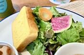 【S/PARK Cafe ランチプレート】新鮮野菜のサラダとパンも彩りが考えられています