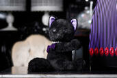 黒猫のぬいぐるみ（イメージ）【ファンタジー&ローズ アフタヌーンティー with ANNA SUI】