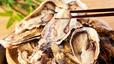今が旬！牡蠣食べ放題フェア
