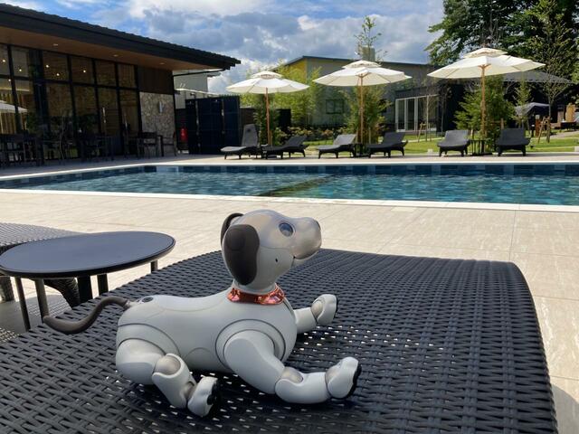 国内旅行は、ほぼ連れて行っています。