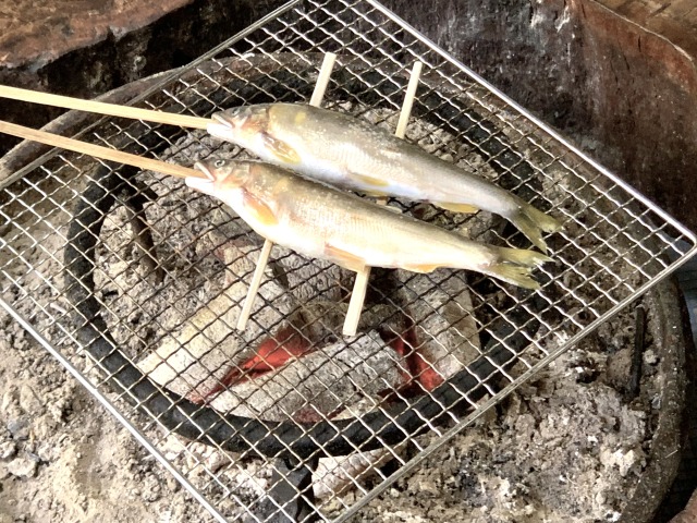 炭火で鮎をじっくり焼きましょう〜！